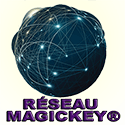 0 125x125px NO 3 LOGO NEW RESEAU DES COLLABORATEURS FCOPY