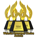 0 125x131px Websites Consumer Choice Awards